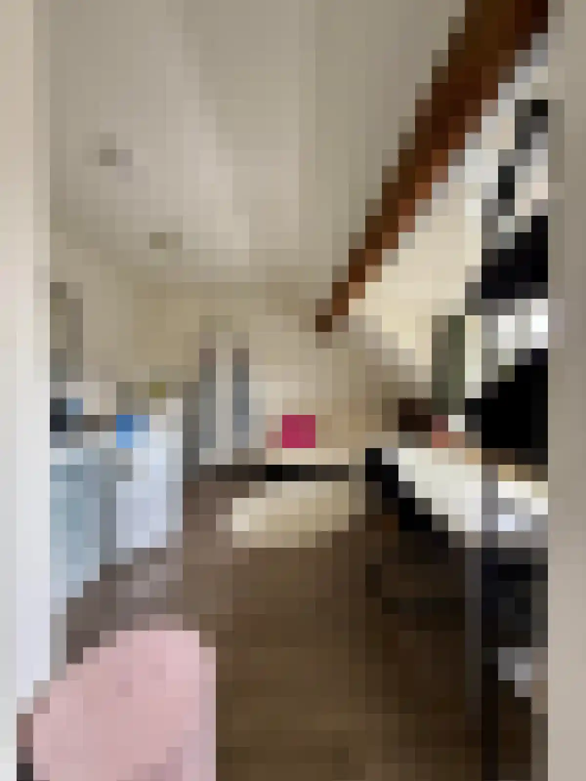 Meerssenerweg Maastricht thumbnail 6