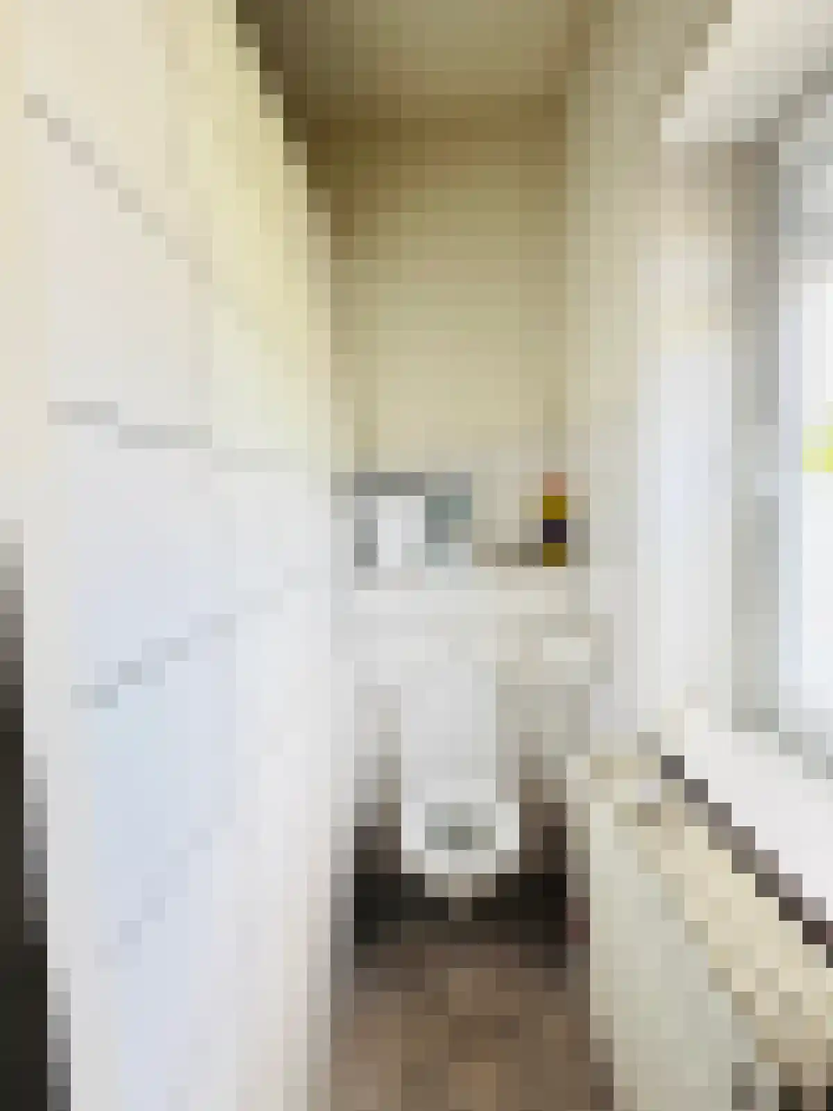 Meerssenerweg Maastricht thumbnail 6