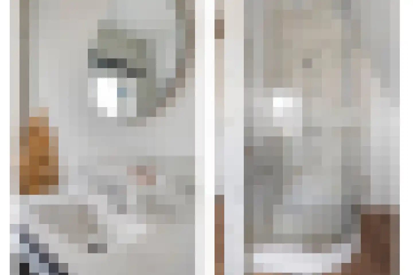 Meerstal 3 Kloosterhaar thumbnail 22