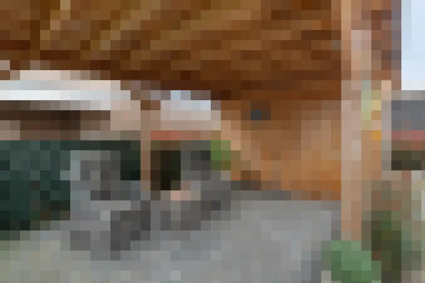 Meerstal 3 Kloosterhaar thumbnail 25