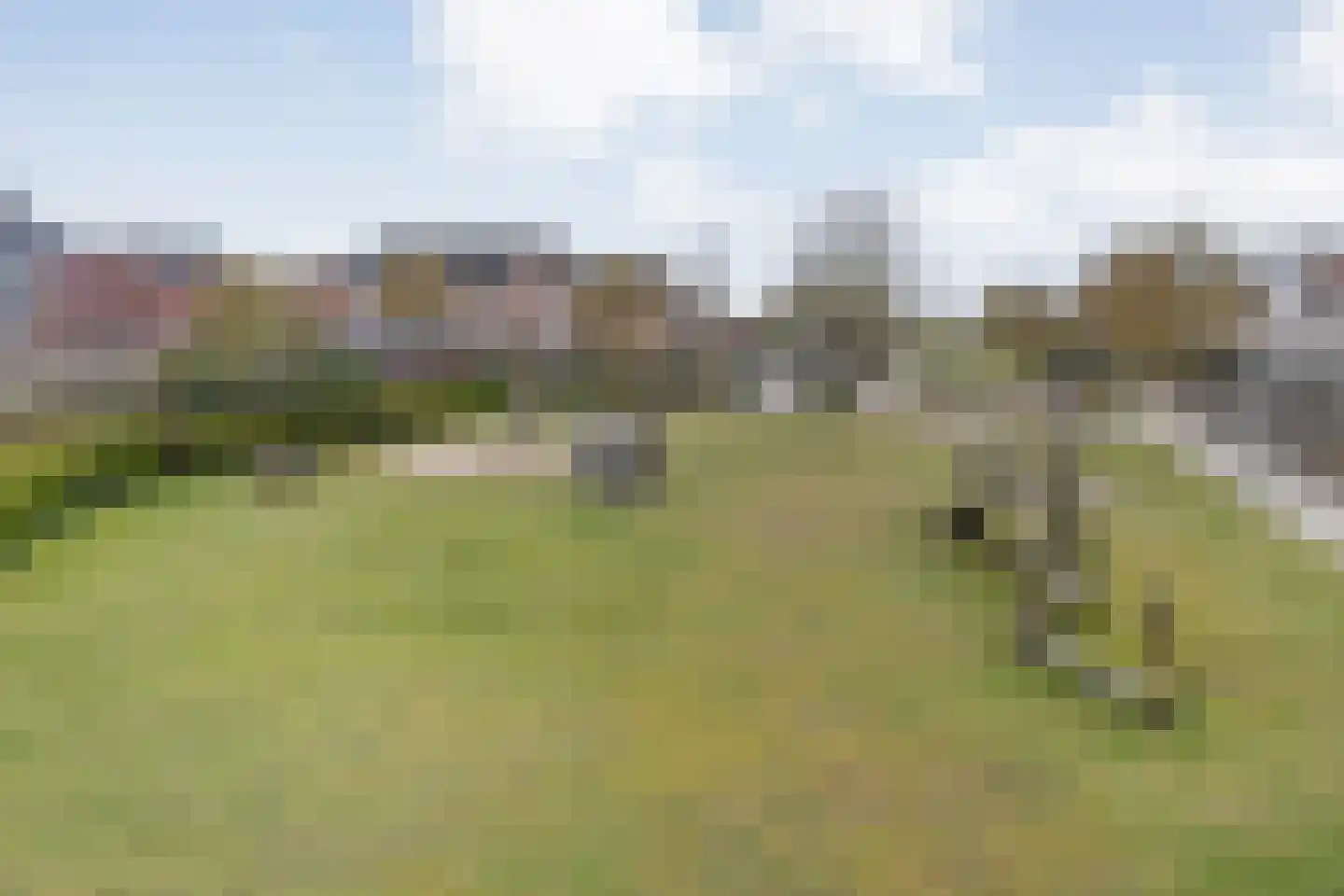 Meerstal 3 Kloosterhaar thumbnail 30