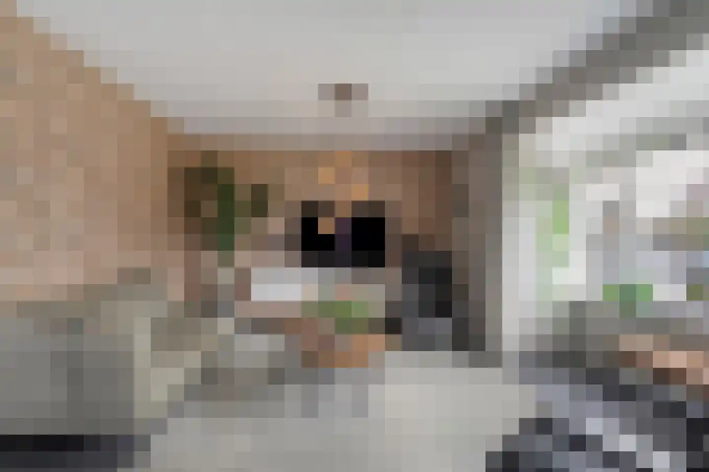 Meerstal 3 Kloosterhaar thumbnail 4