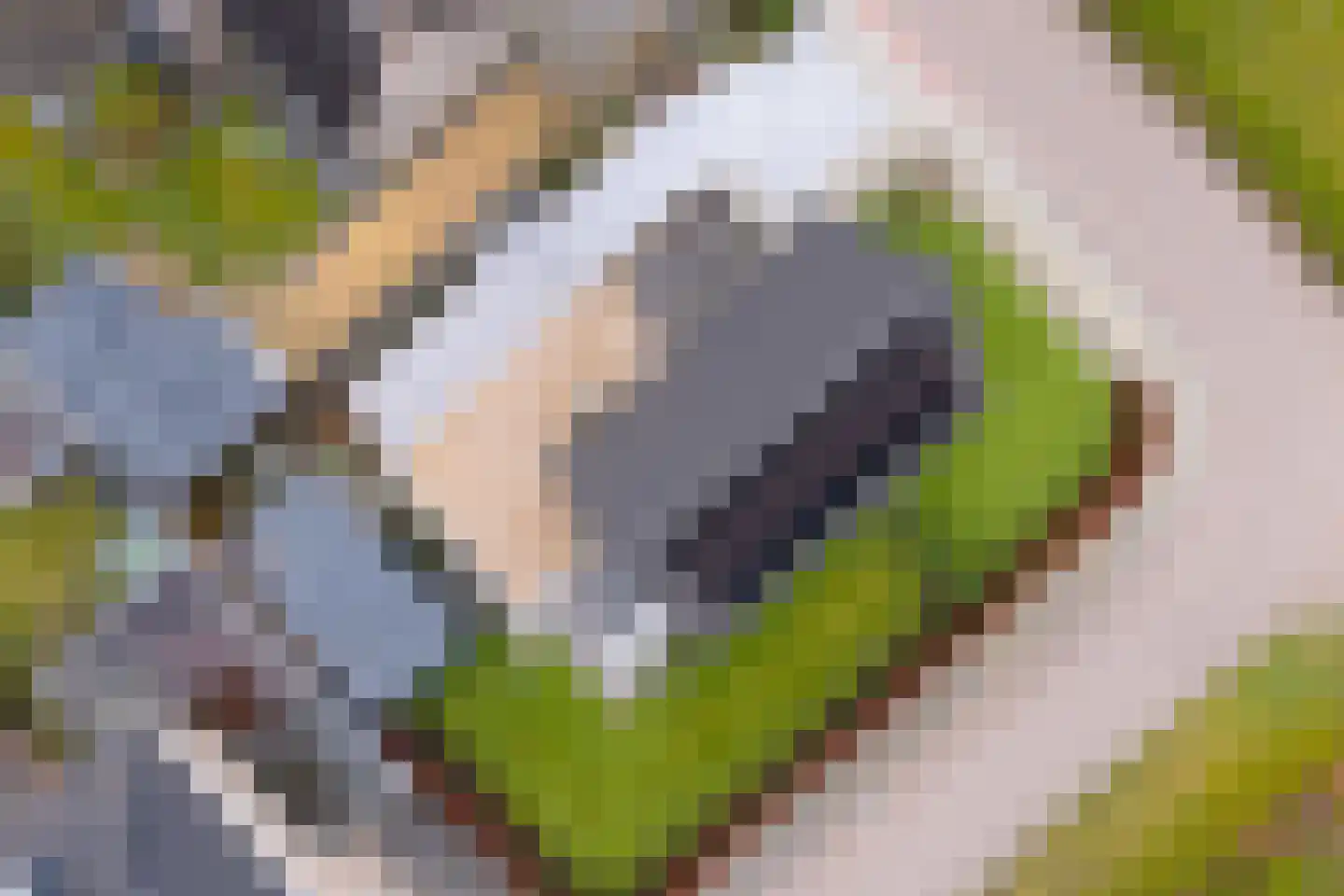 Meerstal 3 Kloosterhaar thumbnail 5