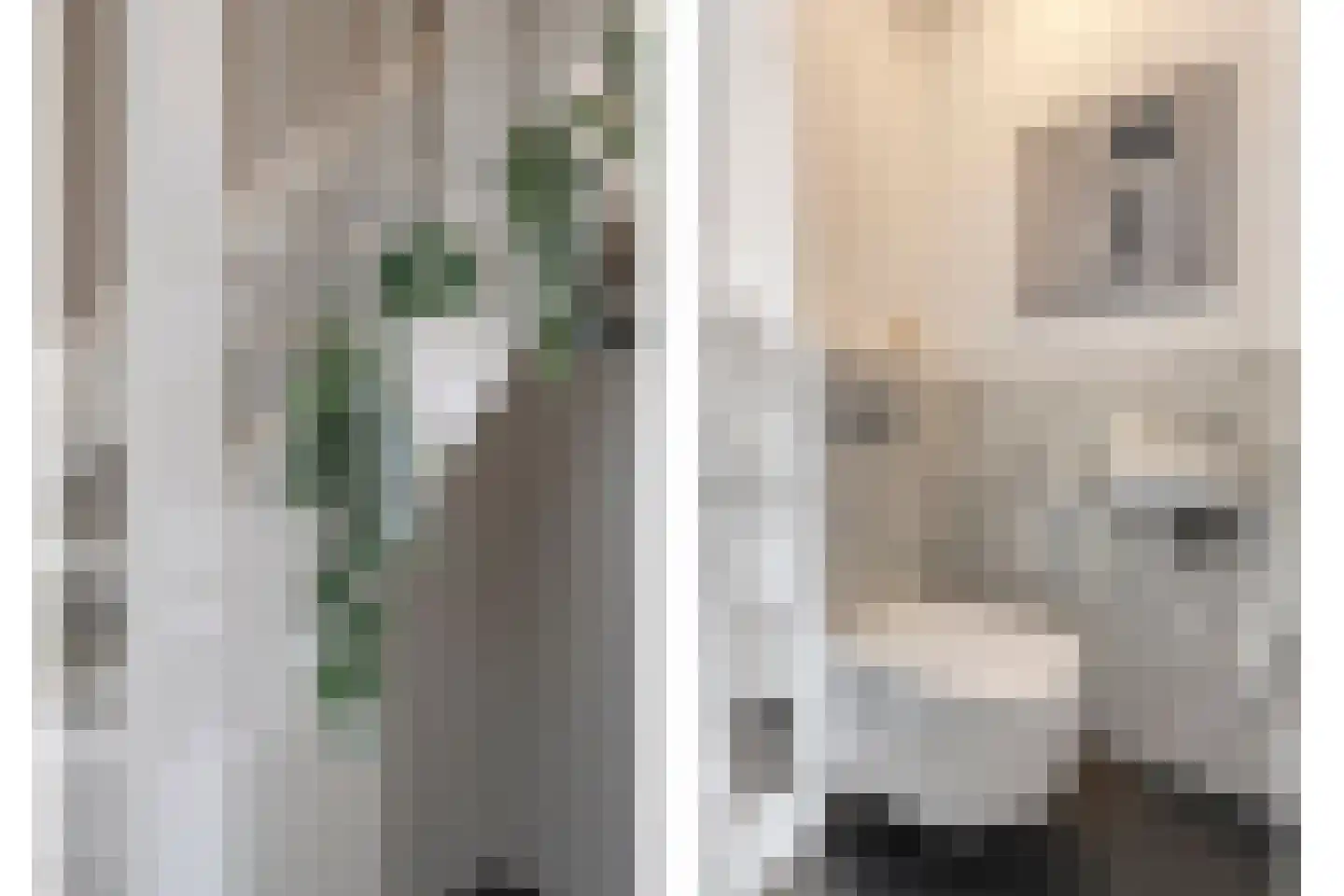 Meerstal 3 Kloosterhaar thumbnail 6