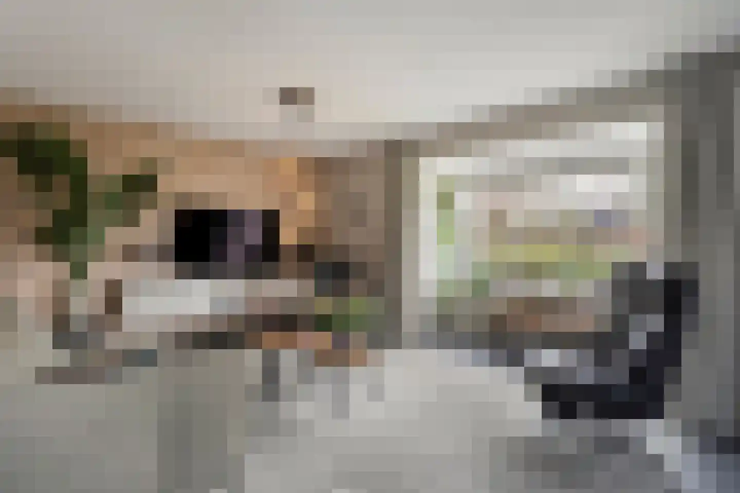 Meerstal 3 Kloosterhaar thumbnail 8