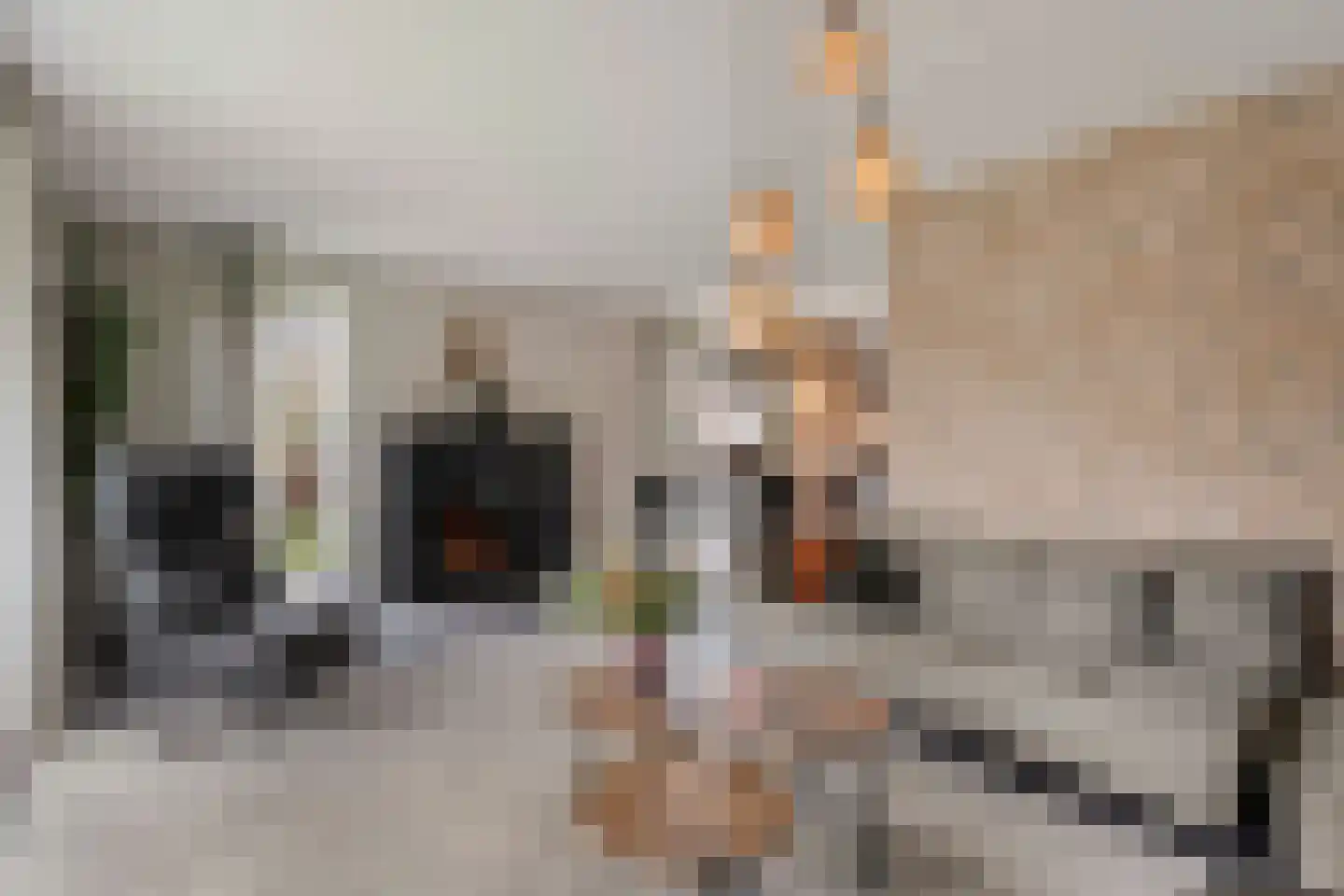 Meerstal 3 Kloosterhaar thumbnail 9