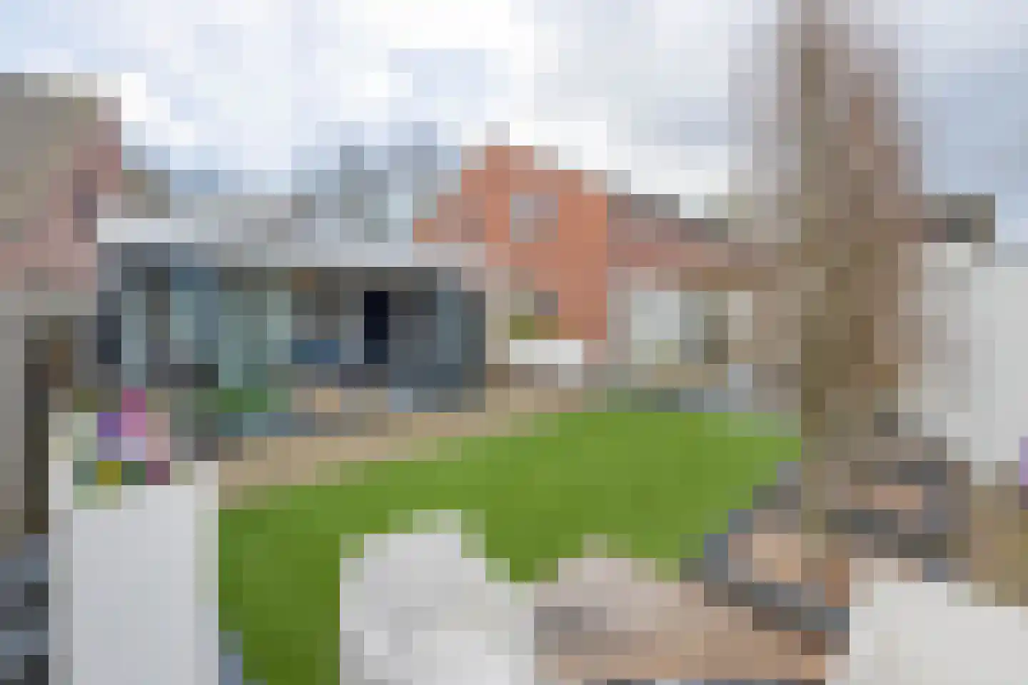 Meerstraat 1 Heeswijk-Dinther thumbnail 23