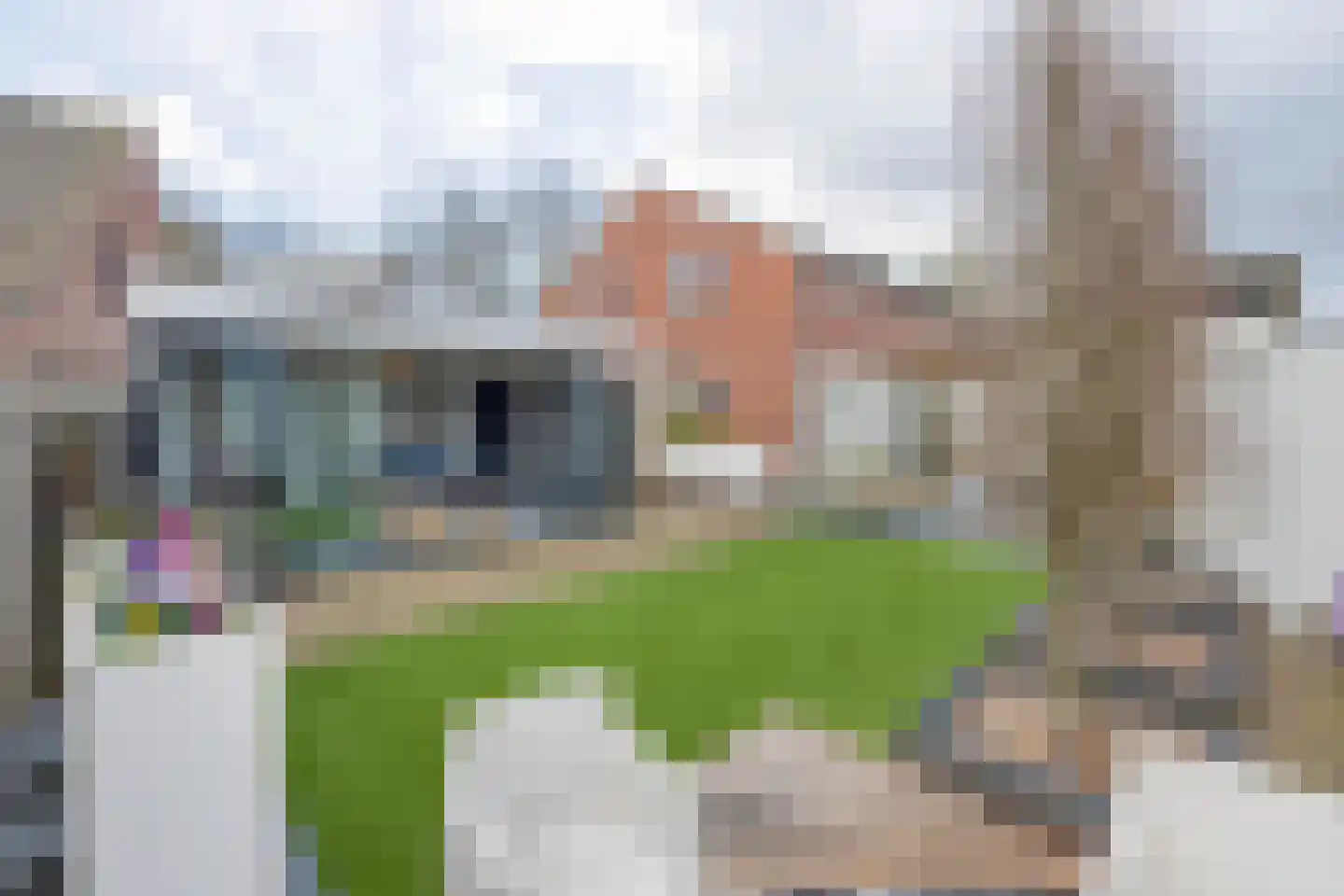 Meerstraat 1 Heeswijk-Dinther thumbnail 23