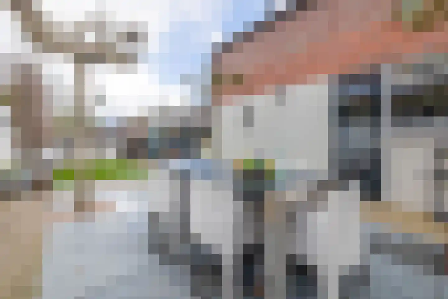 Meerstraat 1 Heeswijk-Dinther thumbnail 26