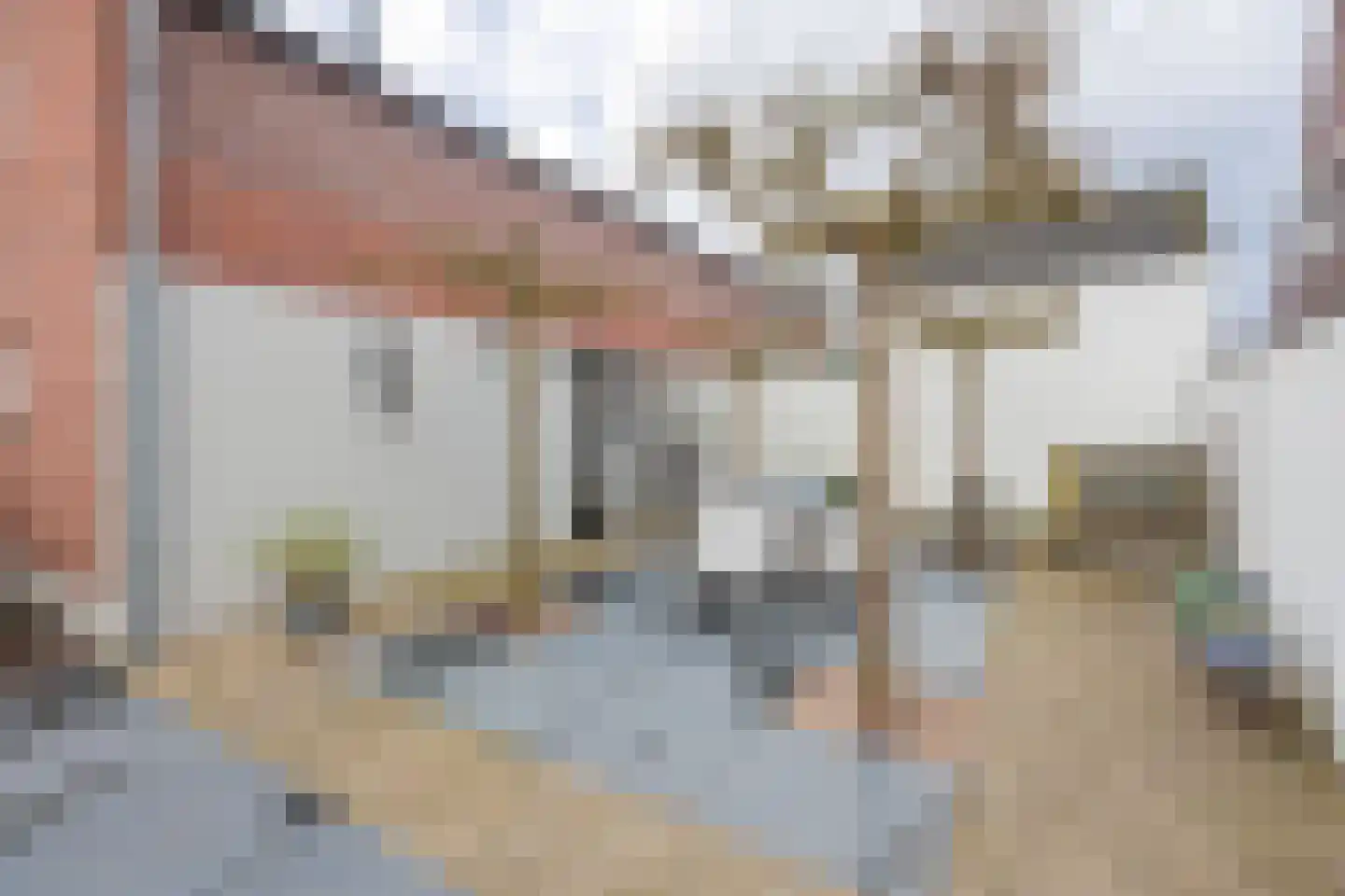 Meerstraat 1 Heeswijk-Dinther thumbnail 27