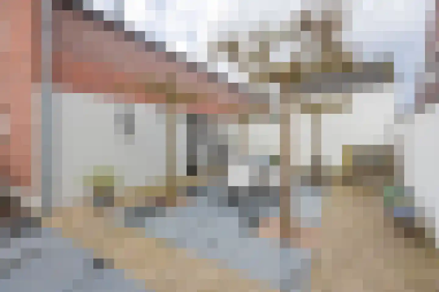 Meerstraat 1 Heeswijk-Dinther thumbnail 27