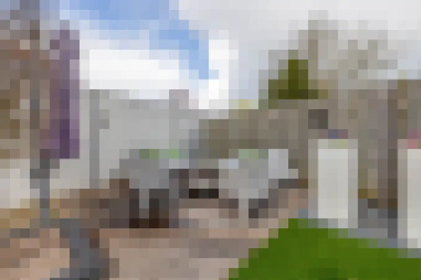 Meerstraat 1 Heeswijk-Dinther thumbnail 31