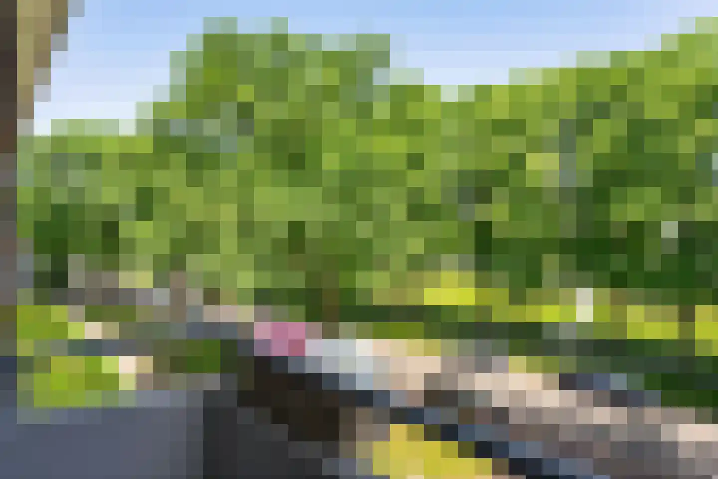 Meerstraat 139 Emmen thumbnail 11