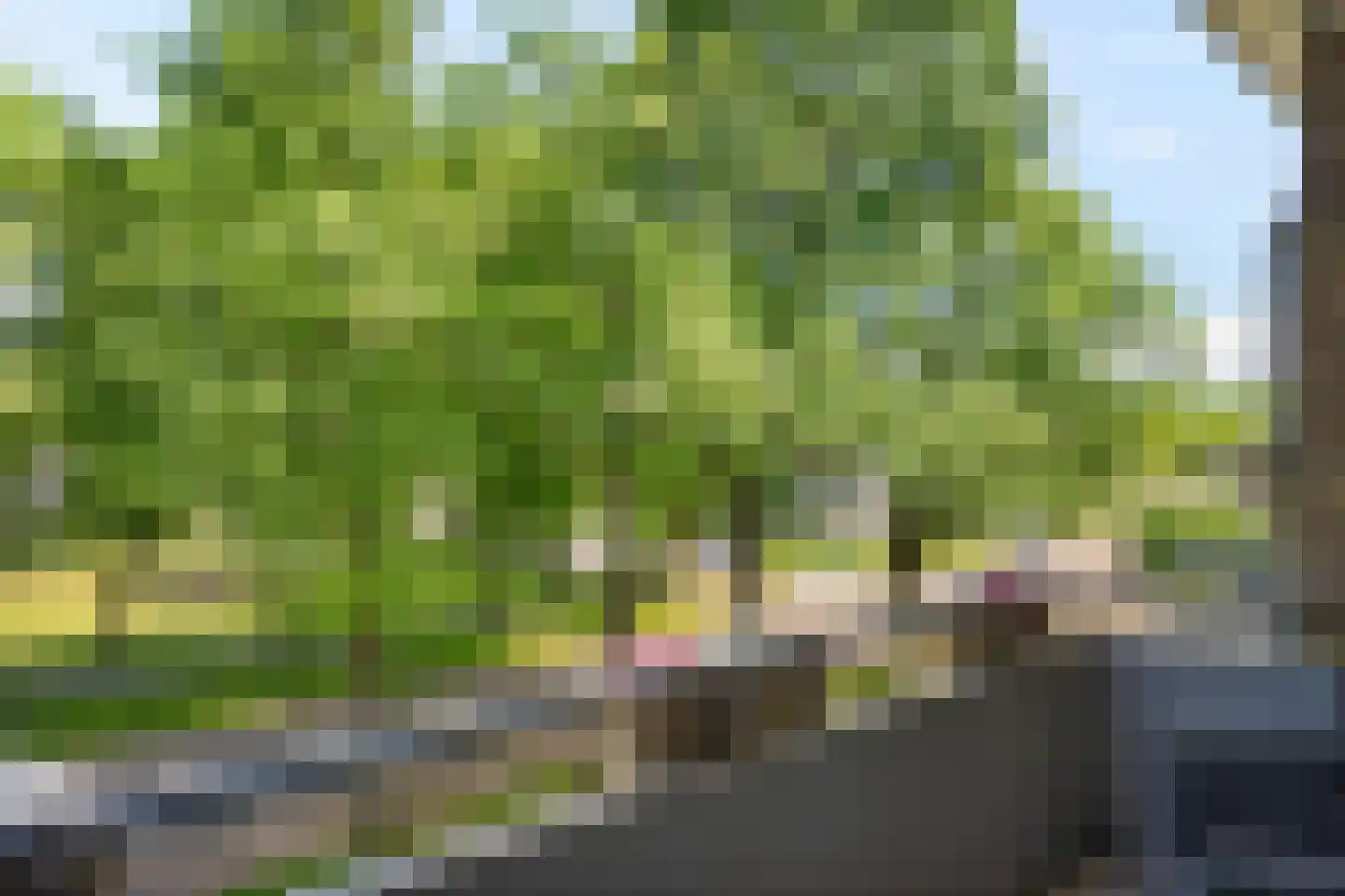 Meerstraat 139 Emmen thumbnail 12