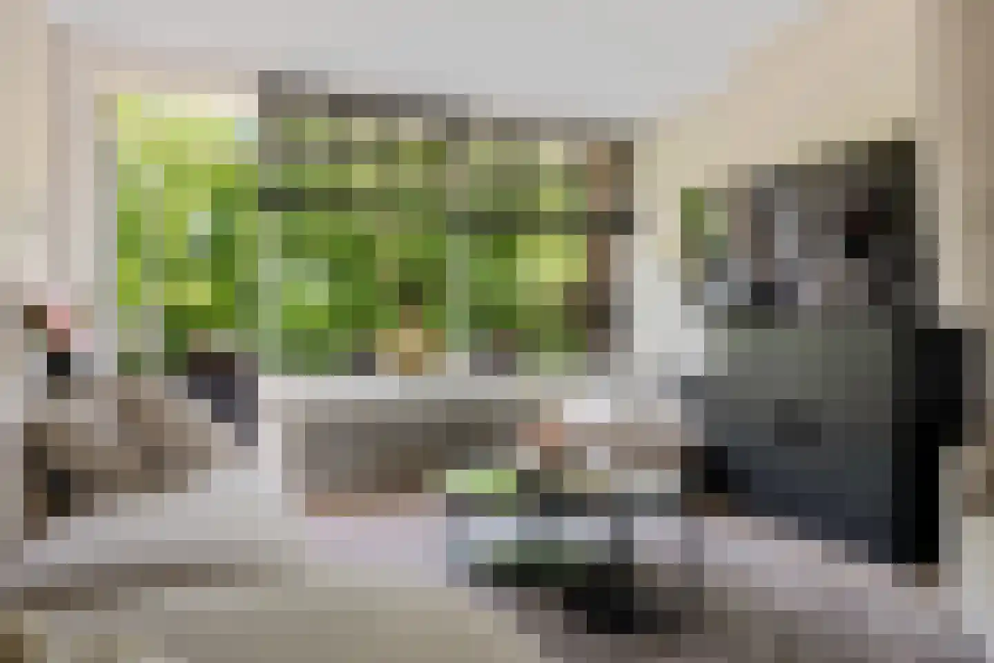 Meerstraat 139 Emmen thumbnail 6