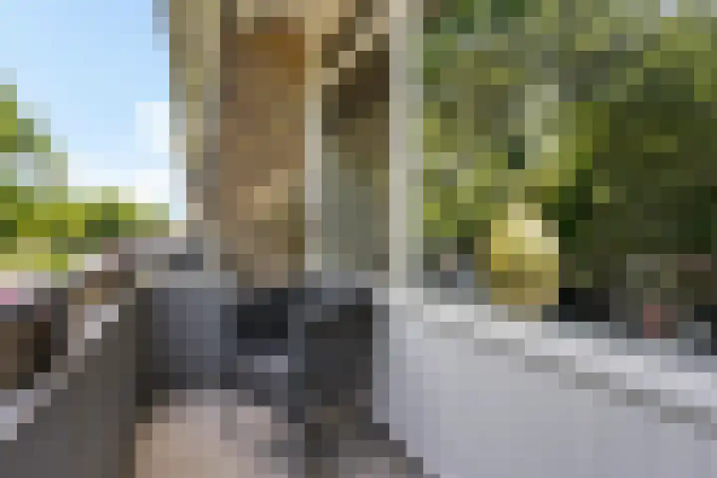 Meerstraat 139 Emmen thumbnail 9