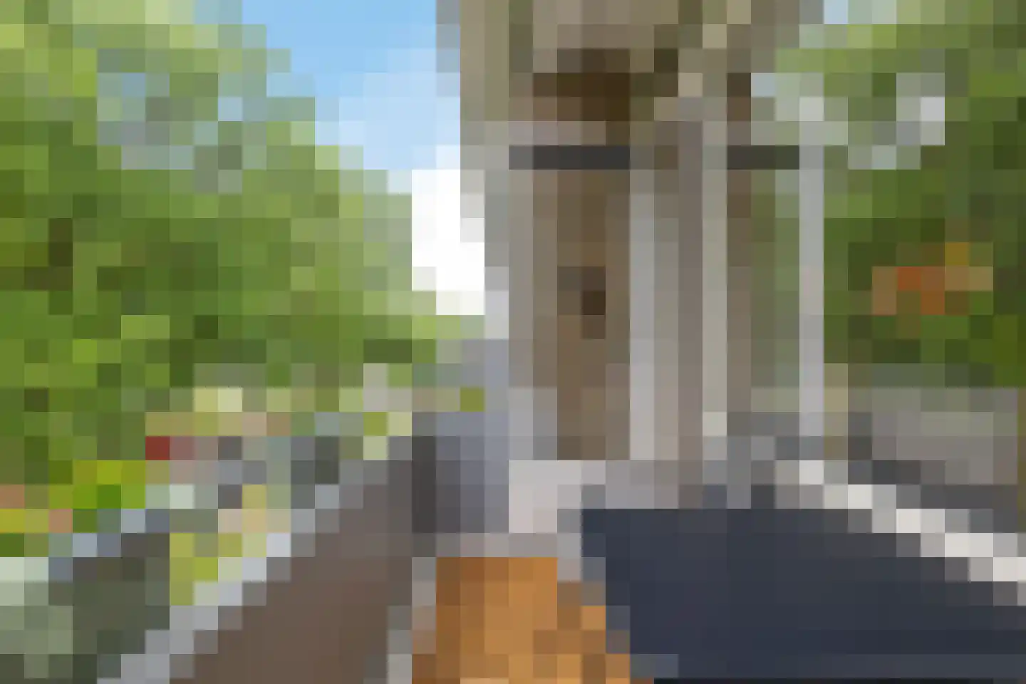 Meerstraat 149 Emmen thumbnail 15