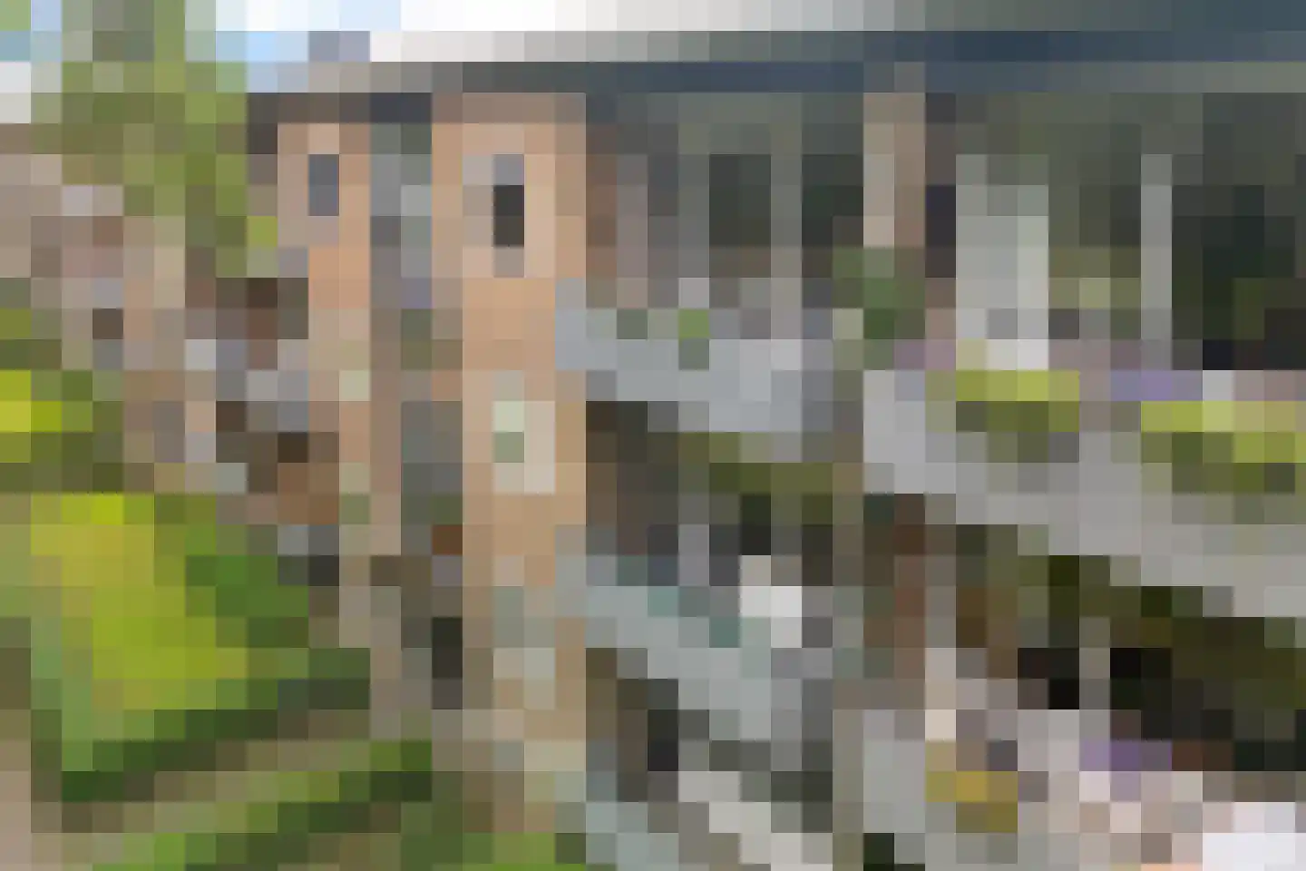 Meerstraat 149 Emmen thumbnail 39