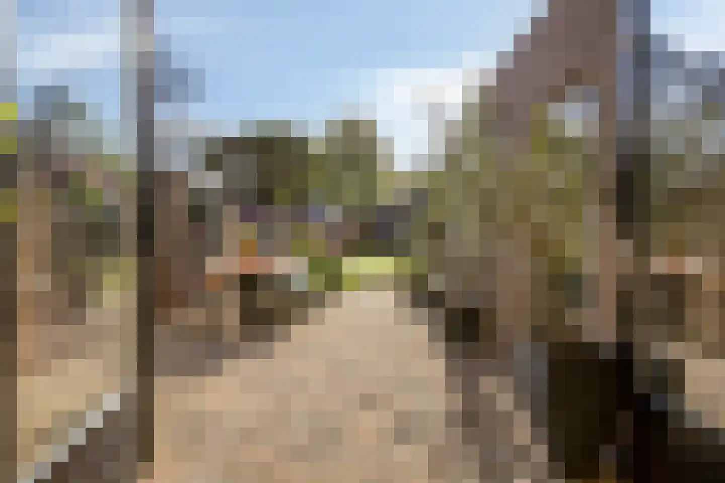 Meerstraat 16 Valkenswaard thumbnail 14
