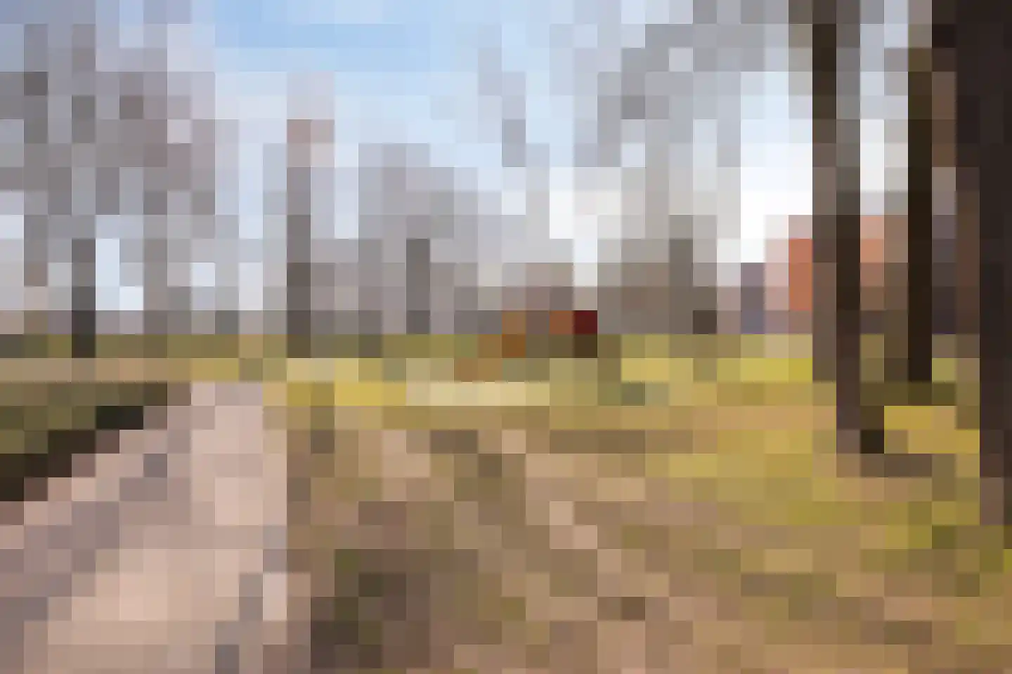 Meerstraat 16 Valkenswaard thumbnail 30