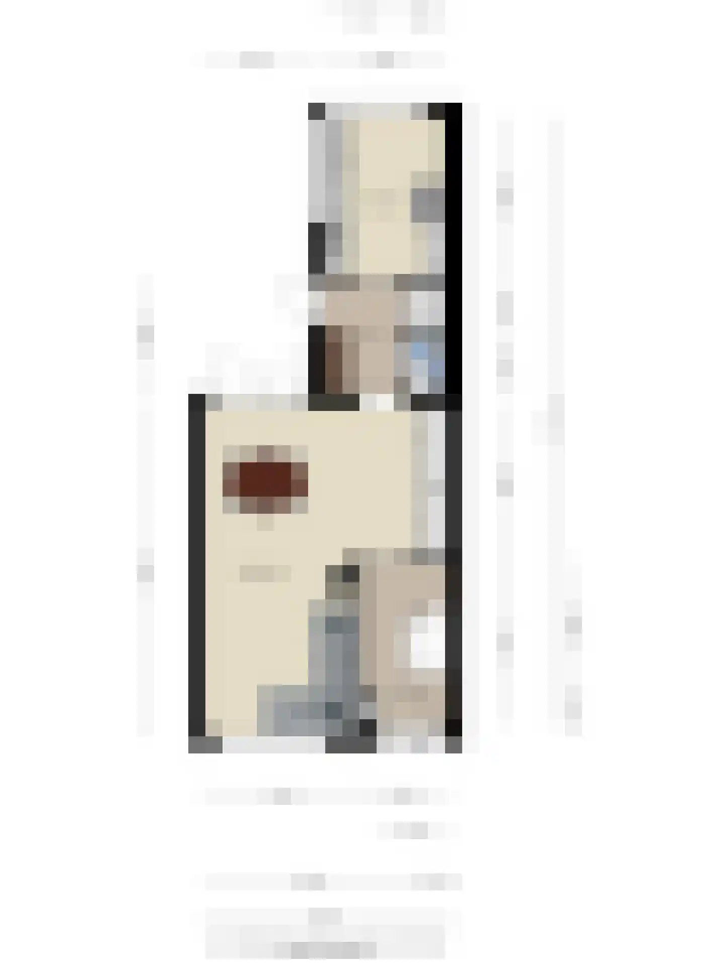 Meerstraat 16 Valkenswaard thumbnail 32