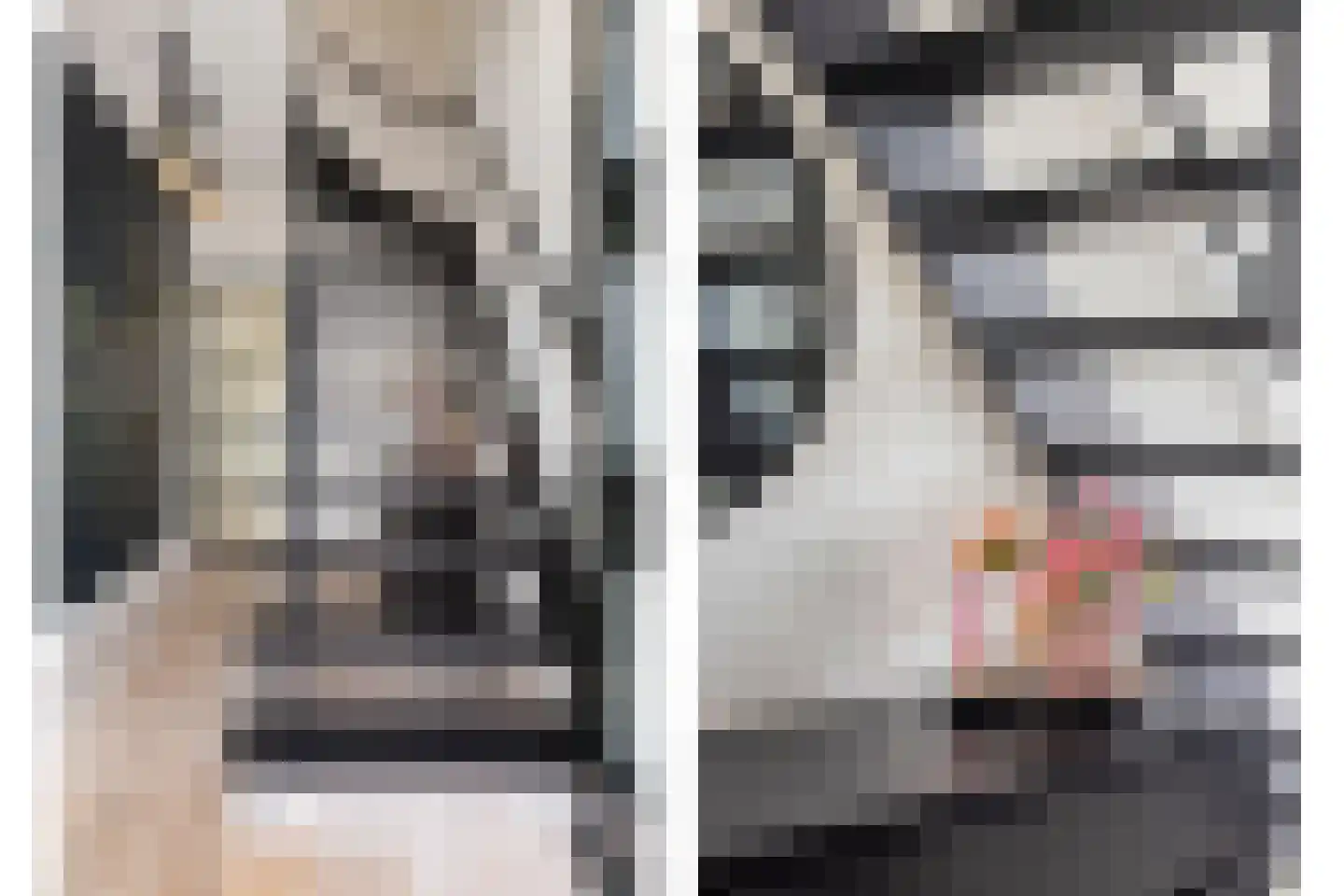 Meerstraat 16 Valkenswaard thumbnail 6