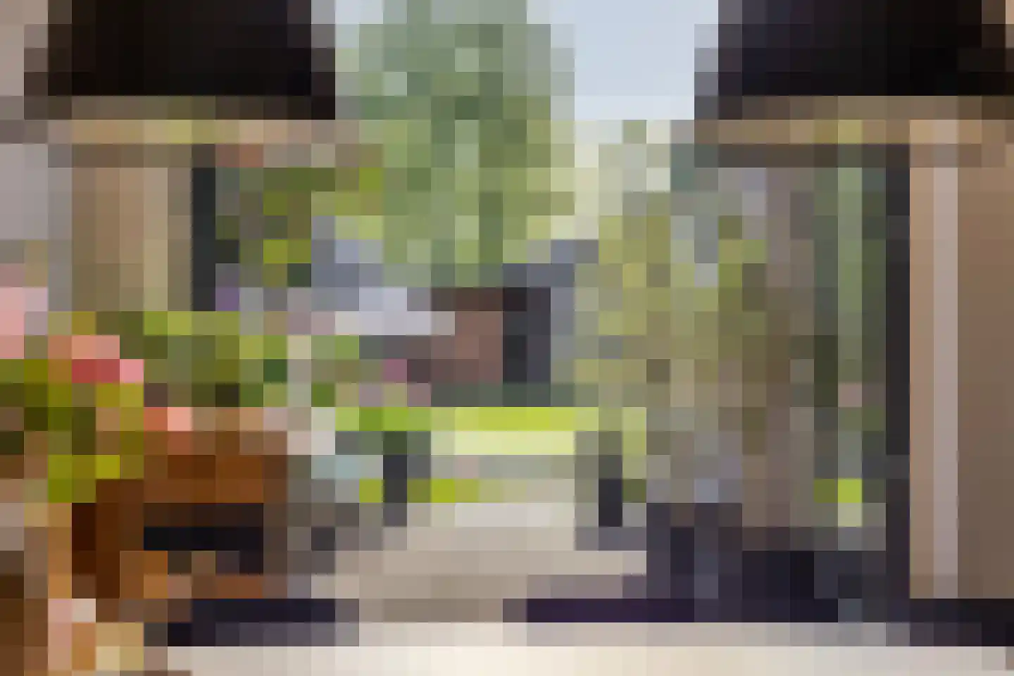 Meerstraat 16 Valkenswaard thumbnail 9