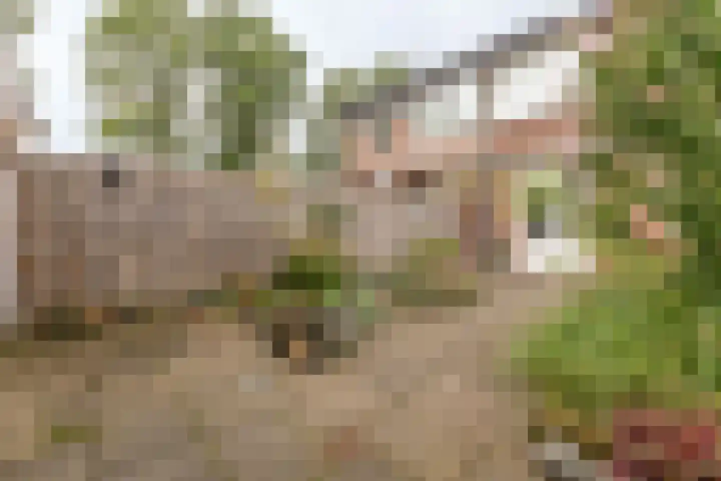 Meerstraat 17 Breda thumbnail 36