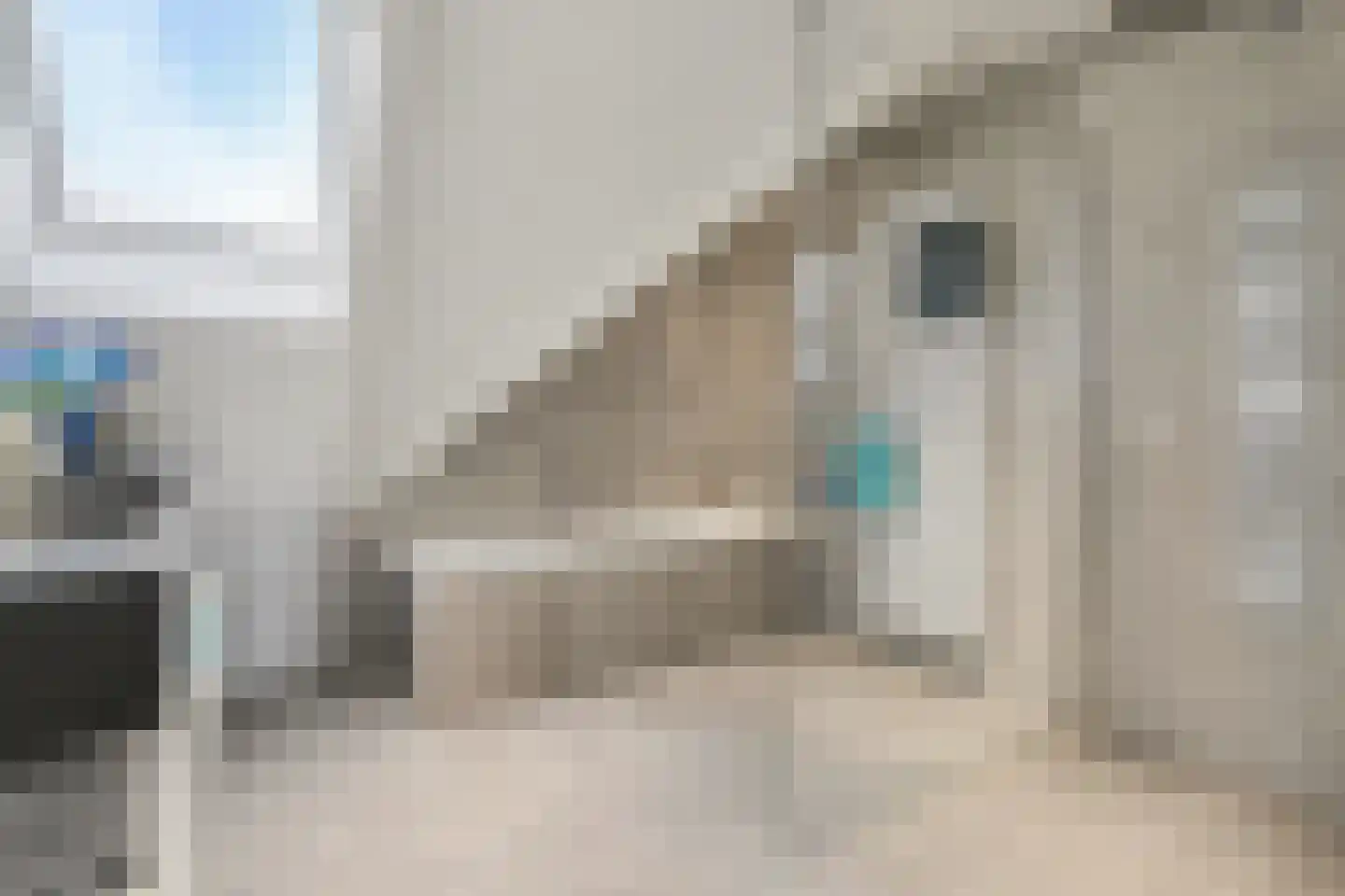 Meerstraat 24 Duizel thumbnail 41
