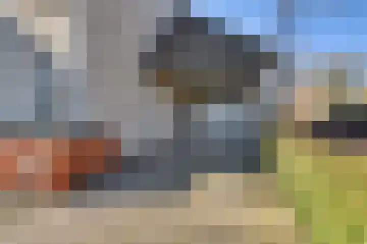 Meerstraat 24 Duizel thumbnail 6