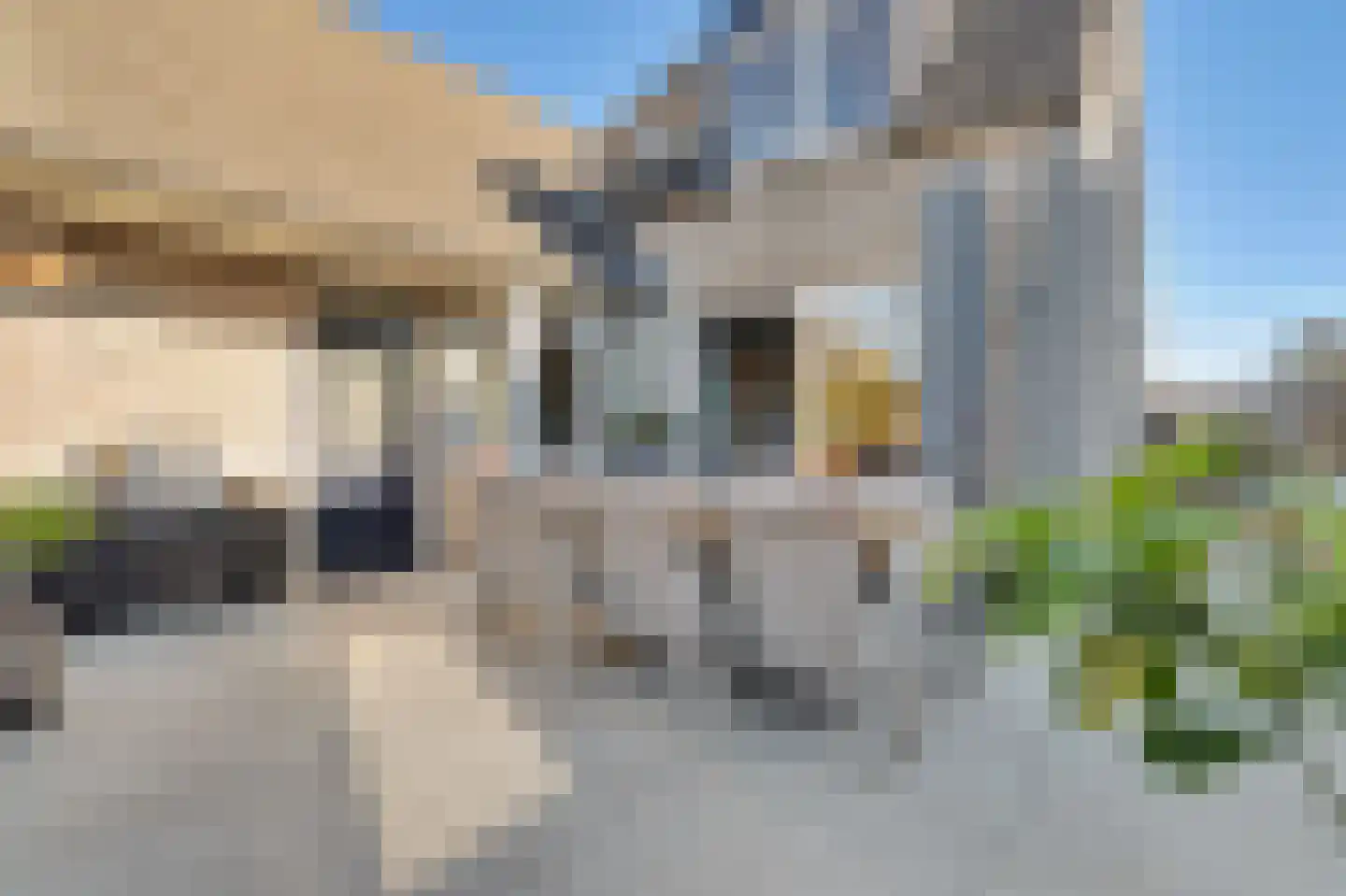 Meerstraat 24 Duizel thumbnail 60