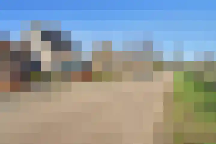 Meerstraat 24 Duizel thumbnail 63