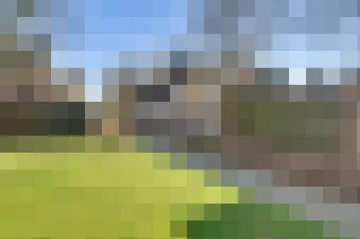 Meerstraat 24 Duizel thumbnail 64