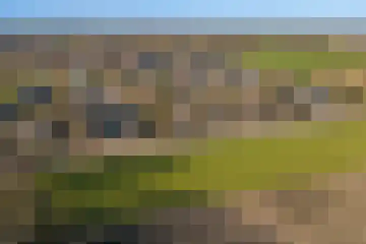 Meerstraat 24 Duizel thumbnail 69