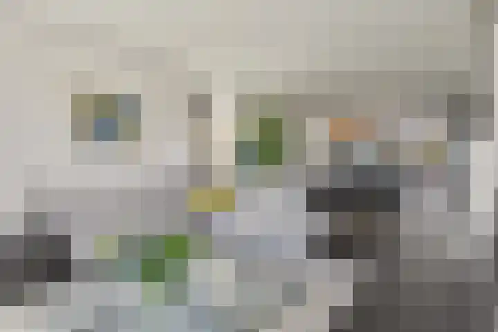 Meerstraat 24 Duizel thumbnail 9