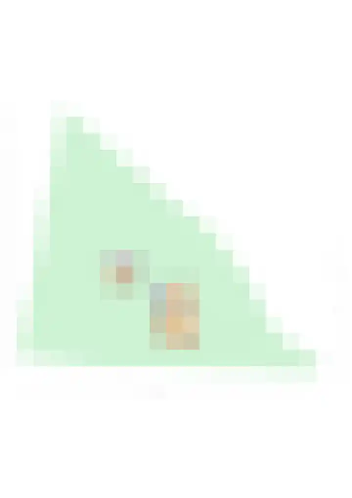 Meerstraat 25 Heeswijk-Dinther thumbnail 61