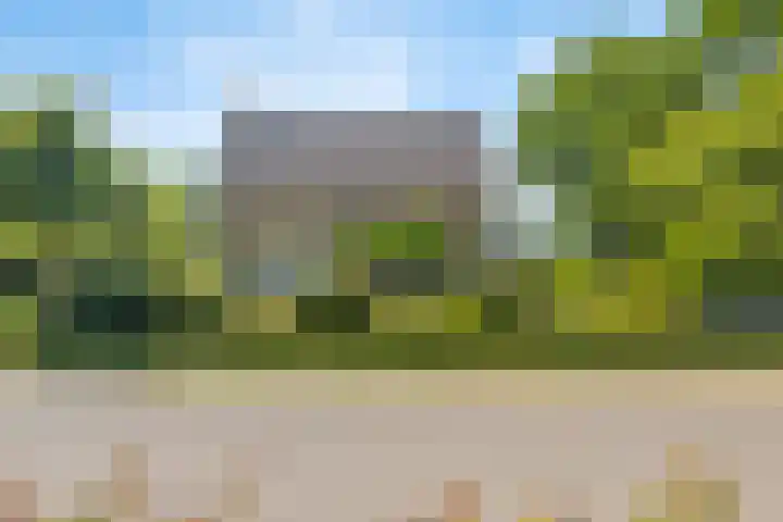 Meerstraat 41 Heeswijk-Dinther thumbnail 29