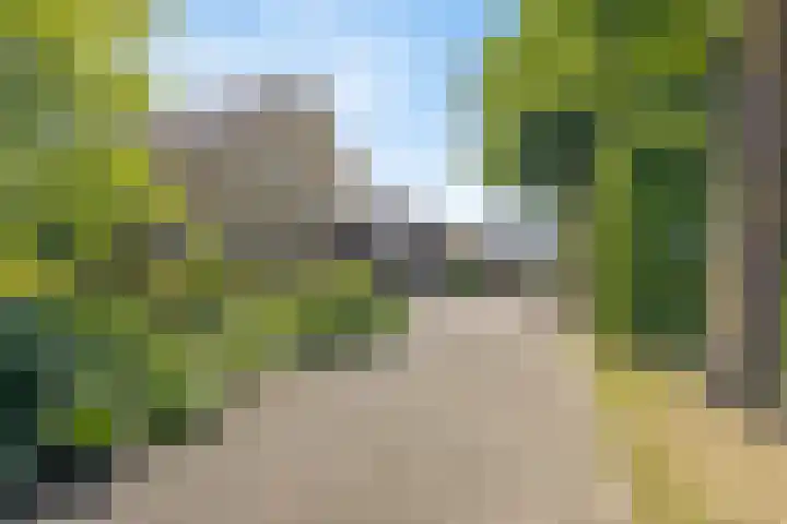 Meerstraat 41 Heeswijk-Dinther thumbnail 32