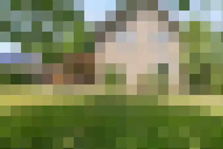 Meerstraat 41 Heeswijk-Dinther thumbnail 47