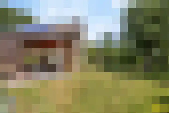 Meerstraat 41 Heeswijk-Dinther thumbnail 49