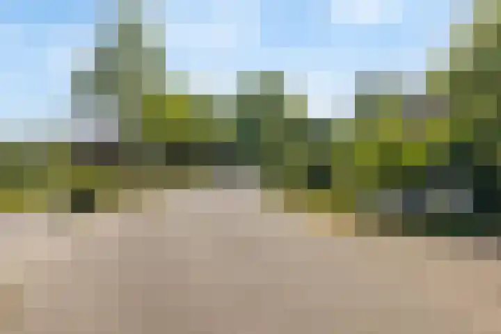 Meerstraat 41 Heeswijk-Dinther thumbnail 56