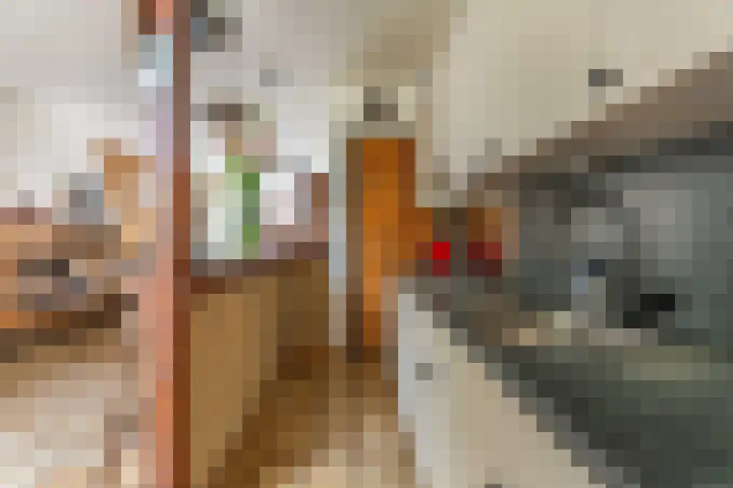 Meerstraat 45 Hillegom thumbnail 9
