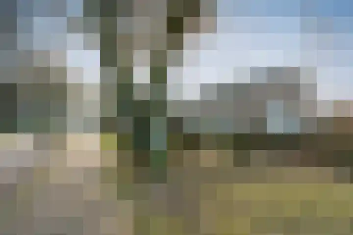 Meerstraat 75 Emmen thumbnail 34