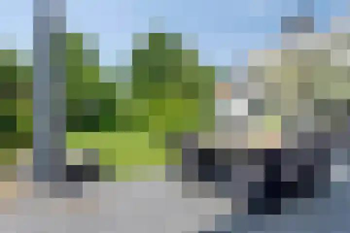 Meerstraat 9 a Heeswijk-Dinther thumbnail 60