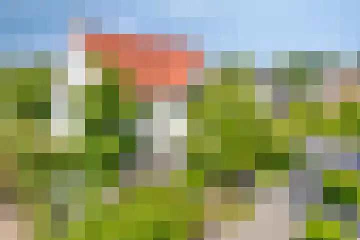 Meerstraat 9 a Heeswijk-Dinther thumbnail 73