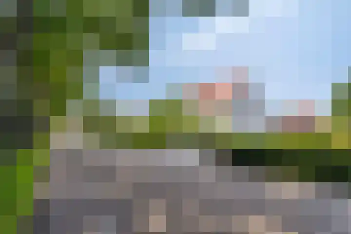 Meerstraat 9 a Heeswijk-Dinther thumbnail 77