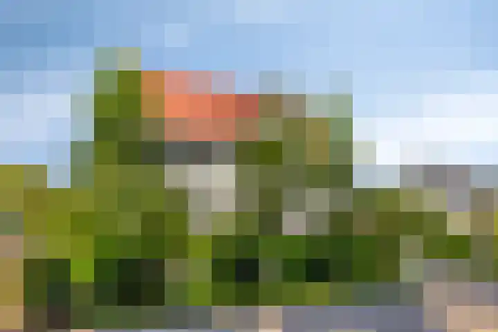 Meerstraat 9 a Heeswijk-Dinther thumbnail 79
