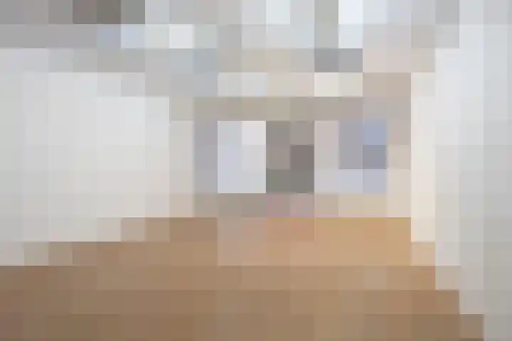 Meerstraat 9 Hillegom thumbnail 6