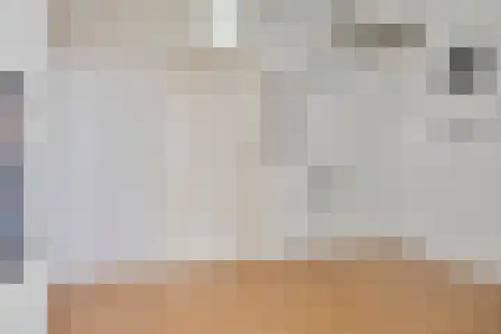 Meerstraat 9 Hillegom thumbnail 9
