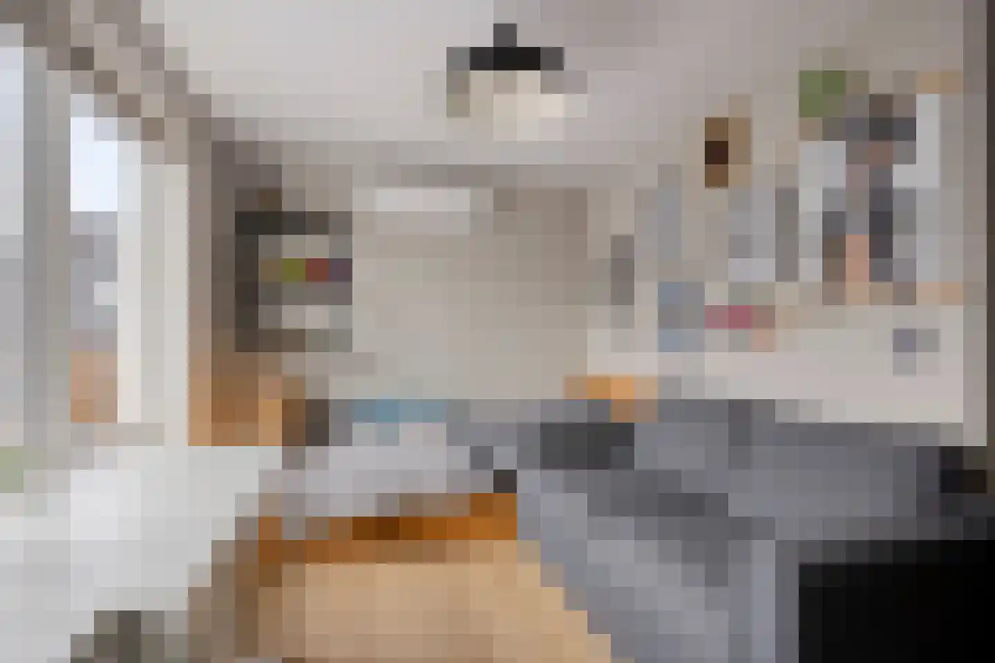 Meerstraat 9 Puiflijk thumbnail 37